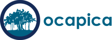 Orange County Asian Pacific Islander Community Alliance